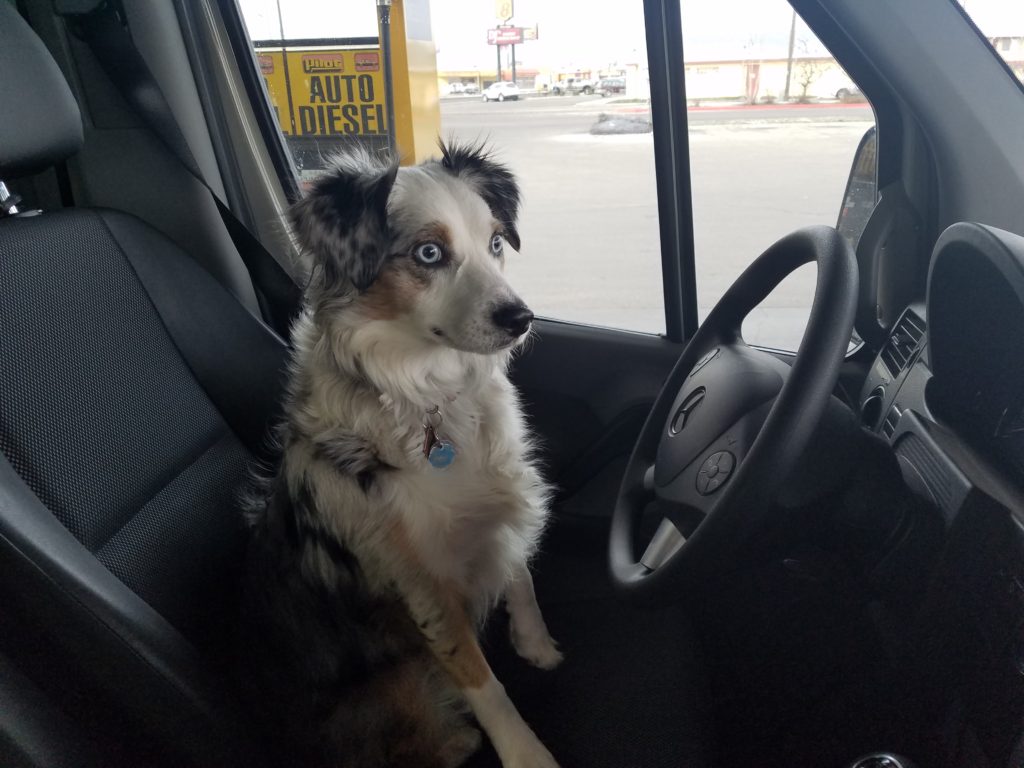Mackenzie driving the Sprinter